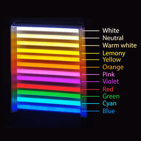 Colori Neon Led